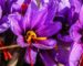 image-blog-7