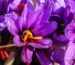 image-blog-7